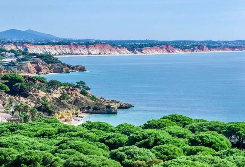 Fotos del hotel Aqua Pedra Dos Bicos Design Beach:  16