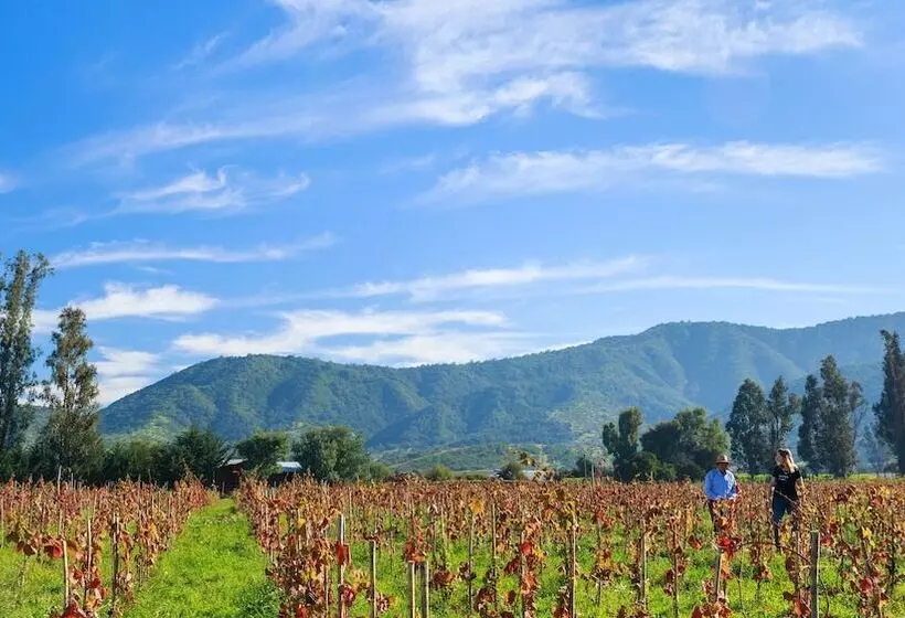 Fotos del hotel Holiday Inn Santiago  Airport Terminal, An Ihg:  6