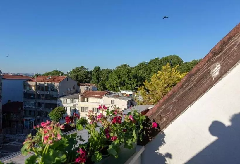 Fotos del hotel Lino Istanbul:  19