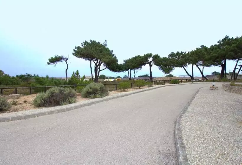 Fotos del hotel Hotel Pinhalmar:  19