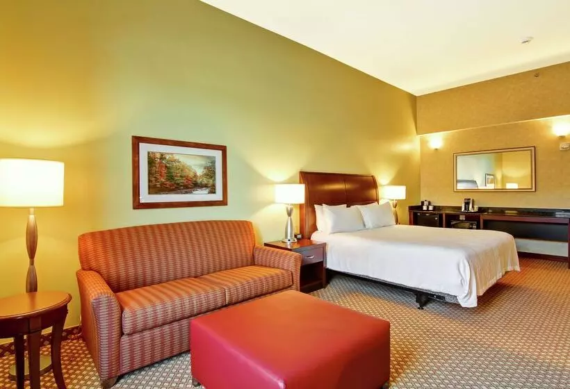 Fotos del hotel Hilton Garden Inn Ottawa Airport:  9