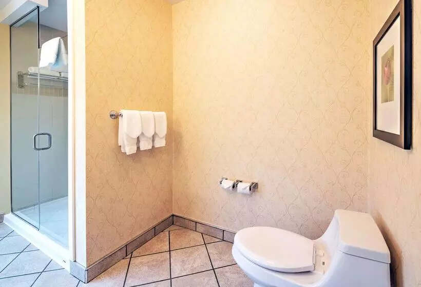 Fotos del hotel Hilton Garden Inn Ottawa Airport:  13