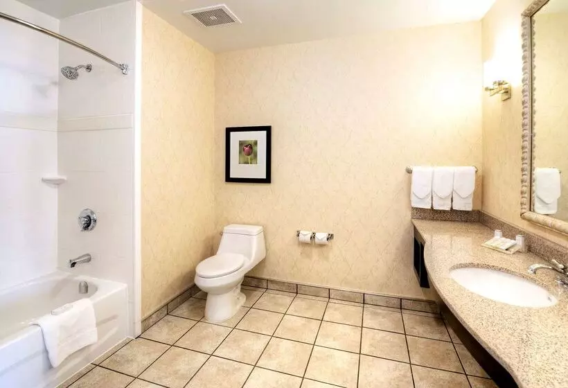 Fotos del hotel Hilton Garden Inn Ottawa Airport:  8