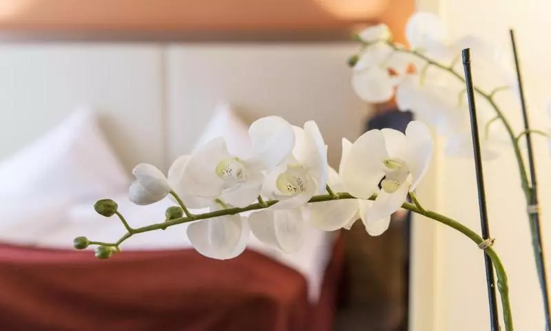 Fotos del hotel Heritage Hotel Hallstatt:  14