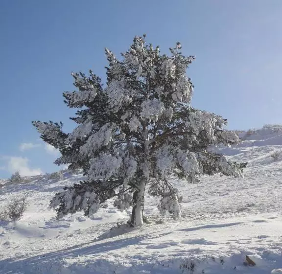 Fotos del hotel Hospedería Palacio De Allepuz:  5