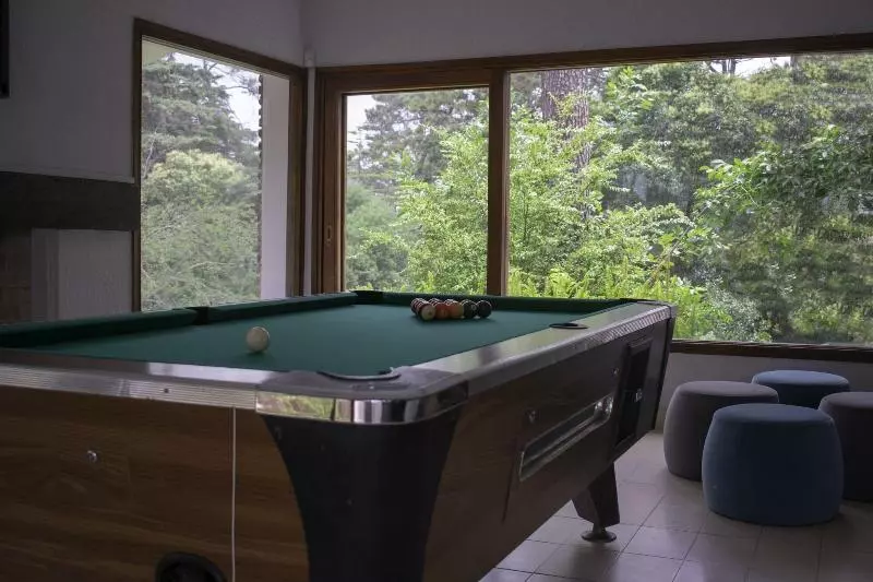 Fotos del hotel Parque Hotel Saint Pierre:  13