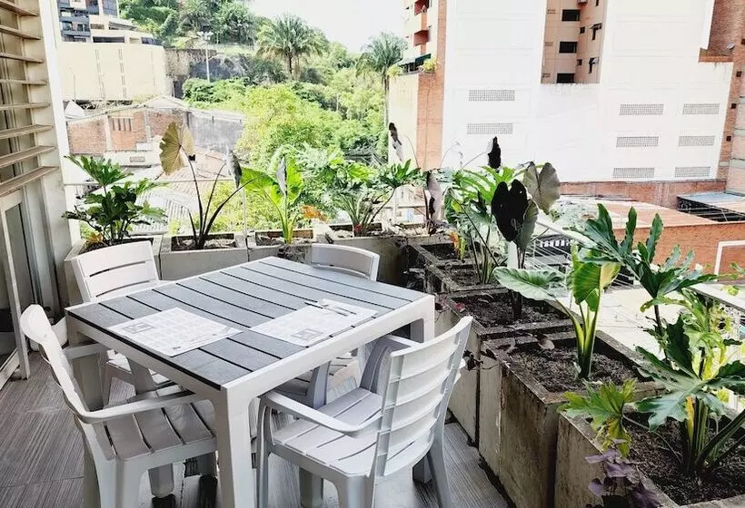 Fotos del hotel Austral Hotel:  5