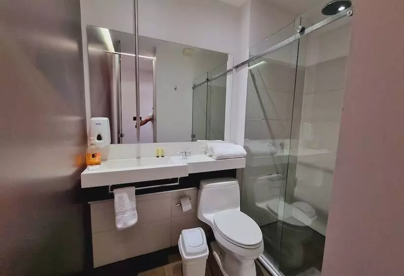 Fotos del hotel Austral Hotel:  6