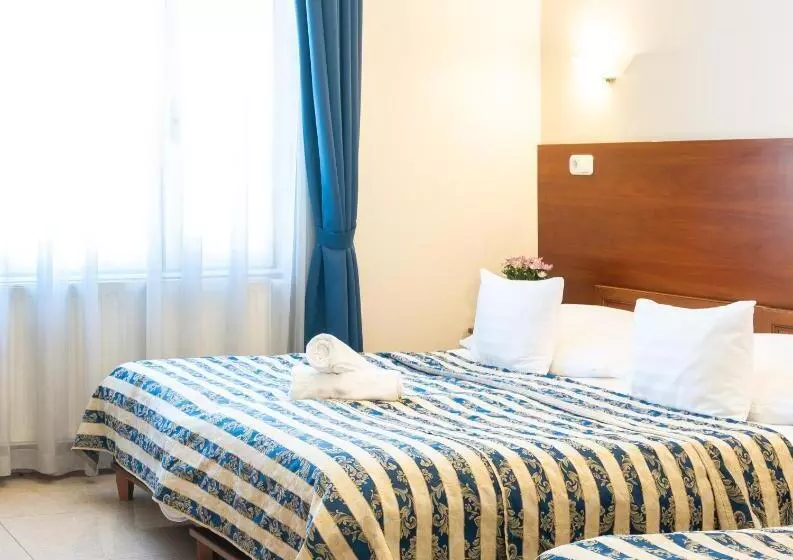 Fotos del hotel Budapest Panorama Central:  11