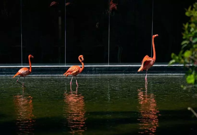 Fotos del hotel Grand Bavaro Princess - All Inclusive:  17