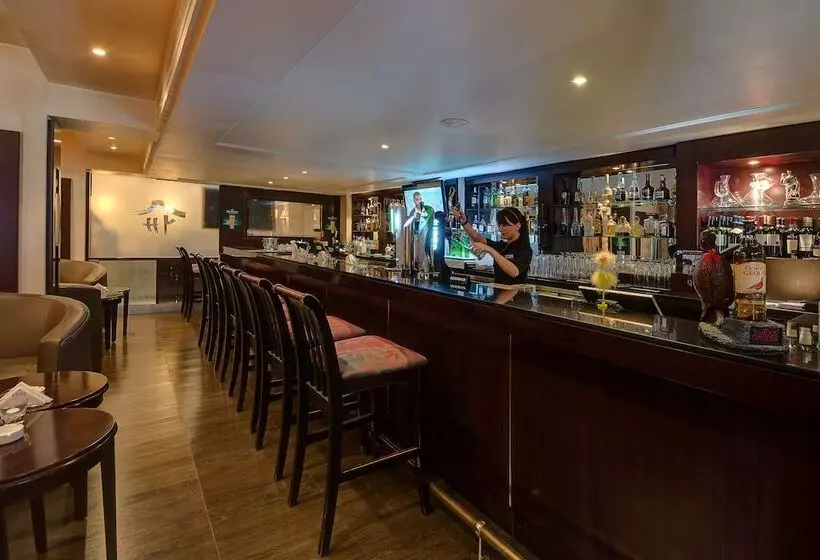 Fotos del hotel Ascot:  5