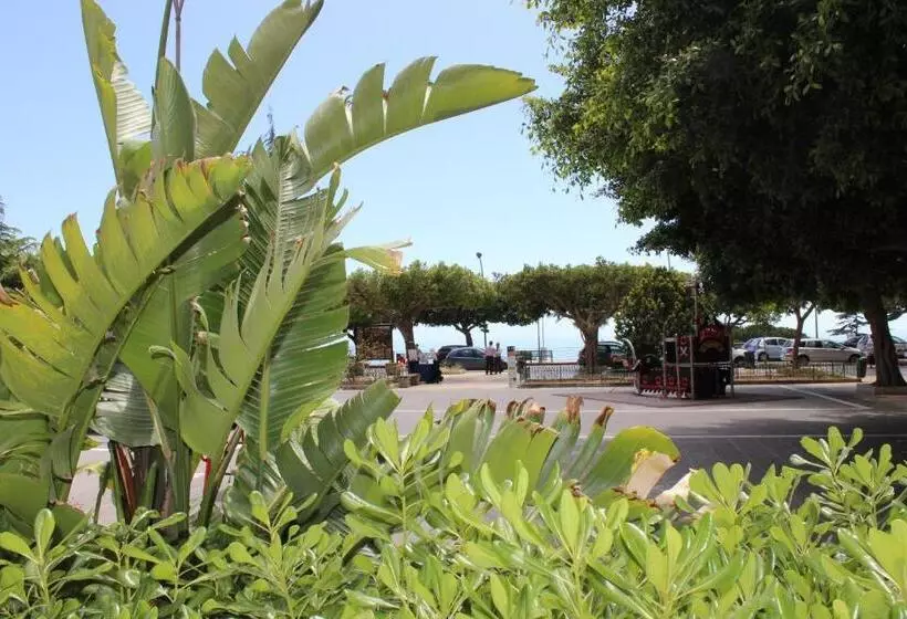 Fotos del hotel Del Viale:  3