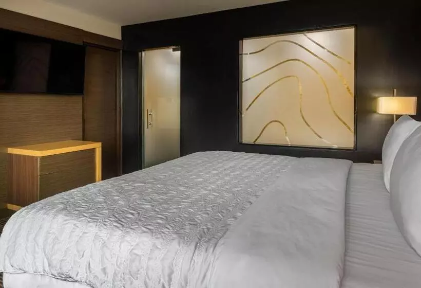 Fotos del hotel Le Meridien Panama:  23