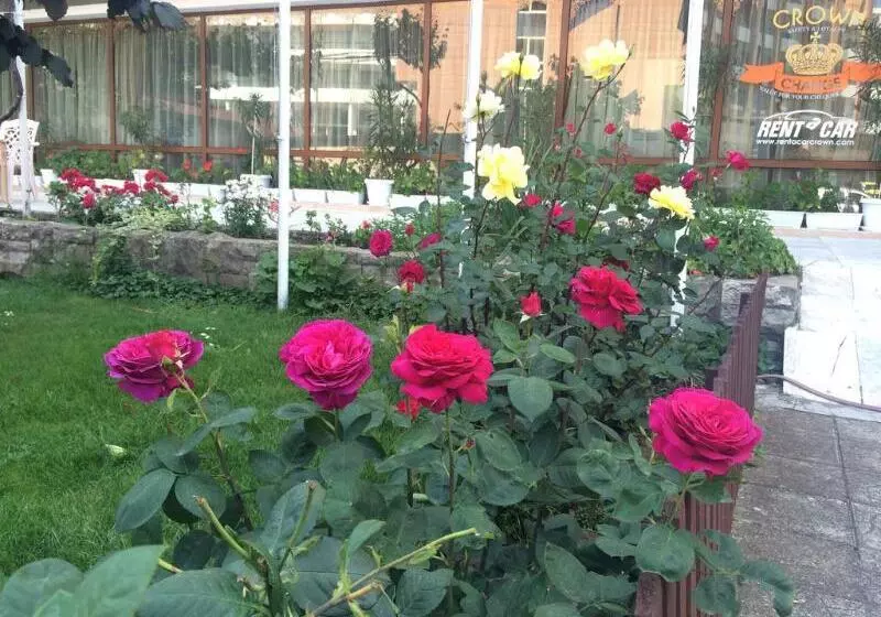 Fotos del hotel Olymp:  6