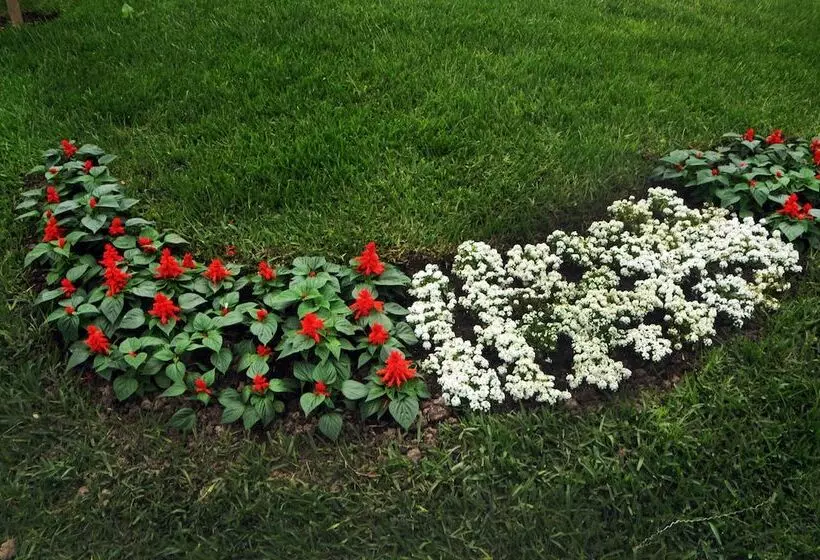 Fotos del hotel Presidente Lima:  12