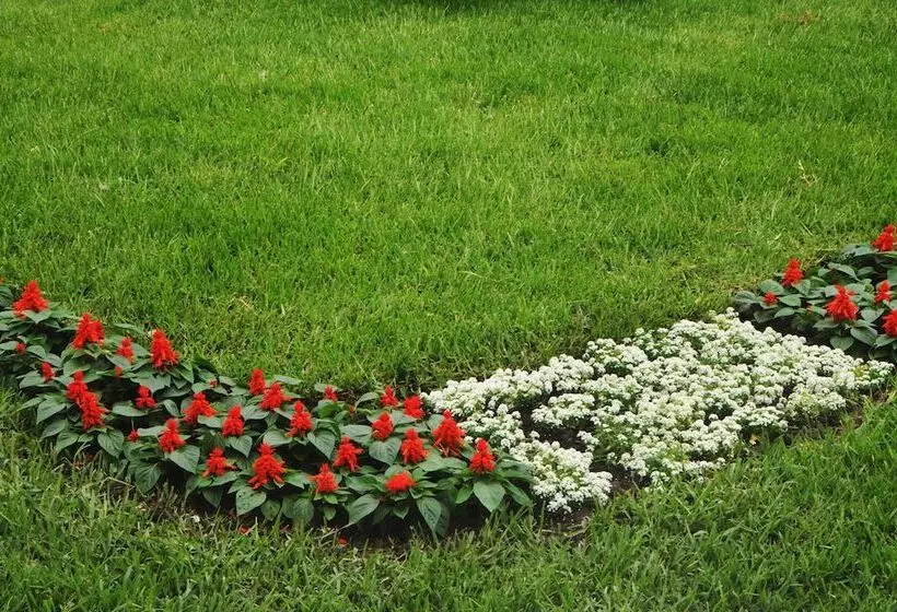 Fotos del hotel Presidente Lima:  9