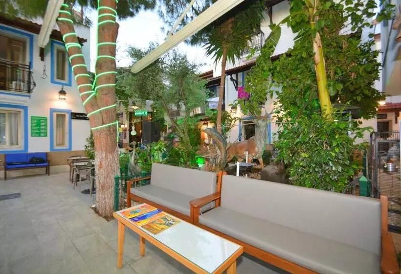 Fotos del hotel Istankoy:  10