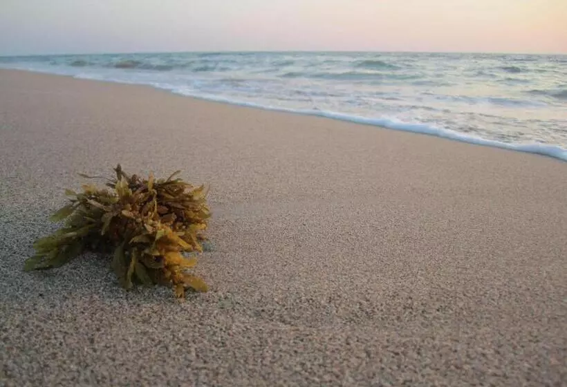 Fotos del hotel Lanta Ilmare Beach Resort:  8