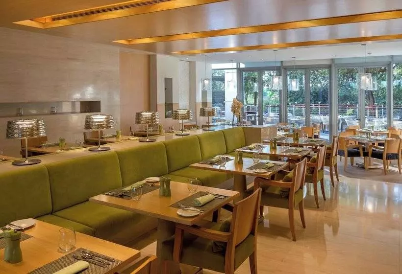 Fotos del hotel Park Rotana Abu Dhabi:  6