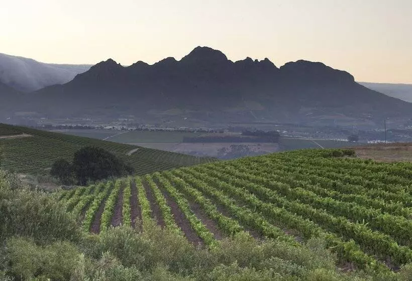 Fotos del hotel Asara Wine Estate &:  6