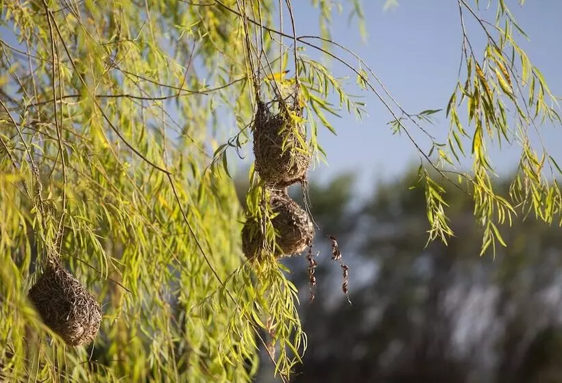 Fotos del hotel Asara Wine Estate &:  3