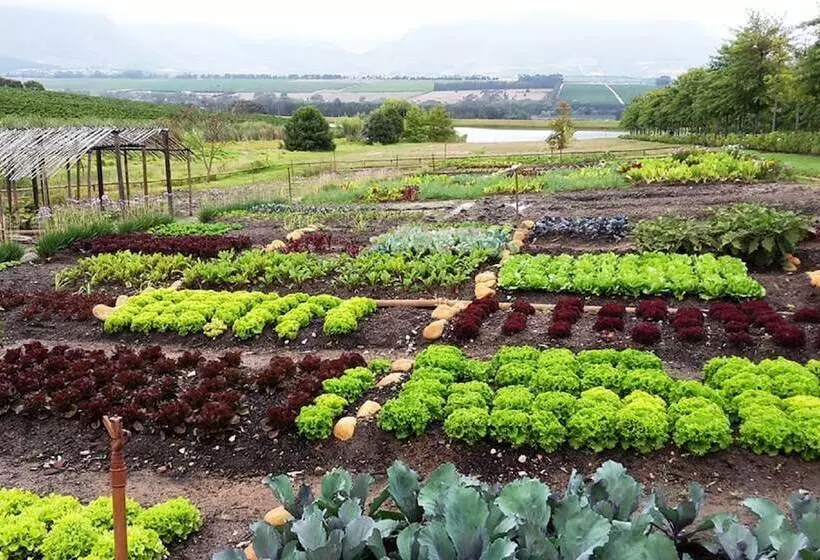 Fotos del hotel Asara Wine Estate &:  10