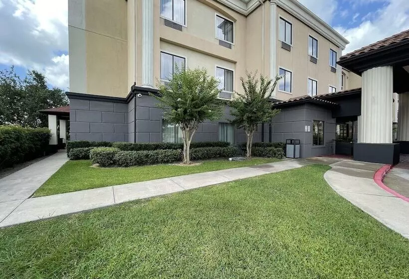 Fotos del hotel Comfort Suites Hobby Airport:  7