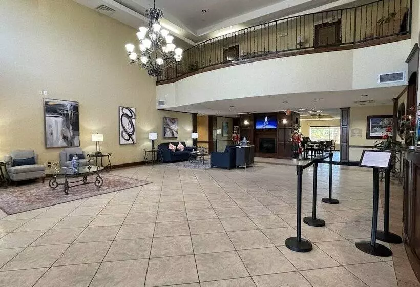 Fotos del hotel Comfort Suites Hobby Airport:  4