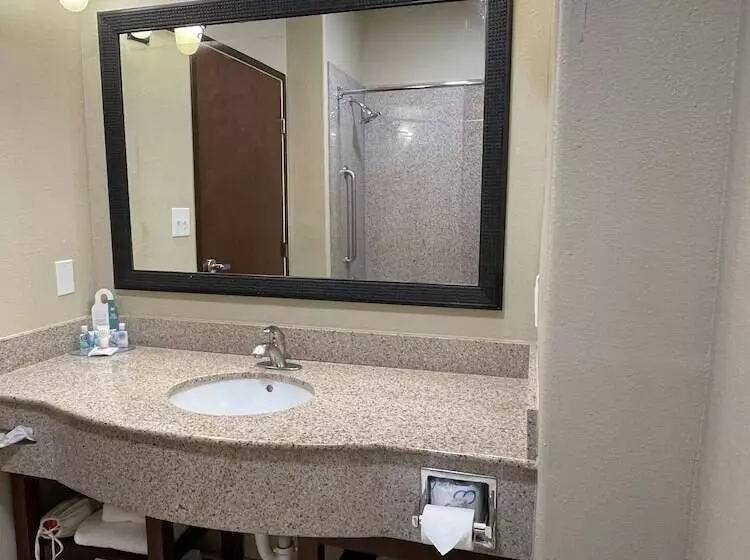 Fotos del hotel Comfort Suites Hobby Airport:  6