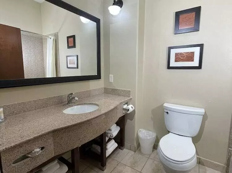 Fotos del hotel Comfort Suites Hobby Airport:  11