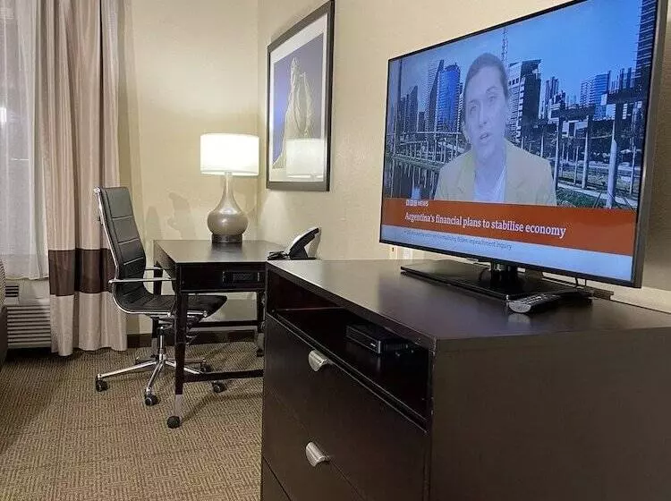 Fotos del hotel Comfort Suites Hobby Airport:  23