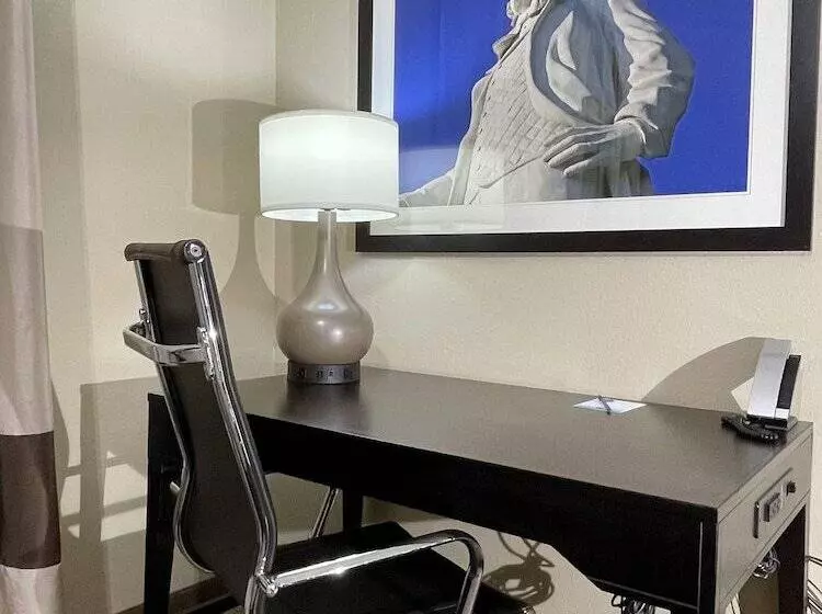 Fotos del hotel Comfort Suites Hobby Airport:  24