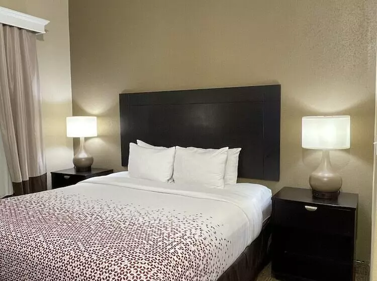 Fotos del hotel Comfort Suites Hobby Airport:  14