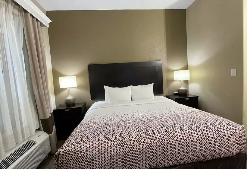 Fotos del hotel Comfort Suites Hobby Airport:  2