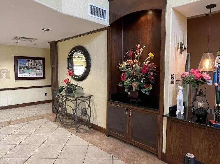 Fotos del hotel Comfort Suites Hobby Airport:  10