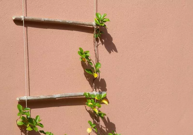 Fotos del hotel Ecoresort Zefyros:  5