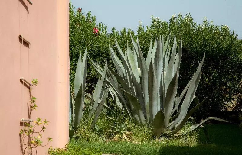 Fotos del hotel Ecoresort Zefyros:  9