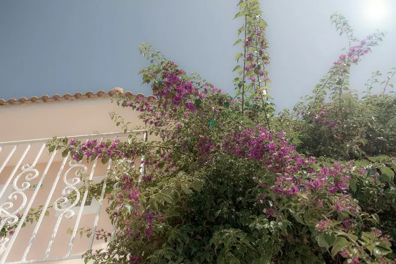 Fotos del hotel Ecoresort Zefyros:  13