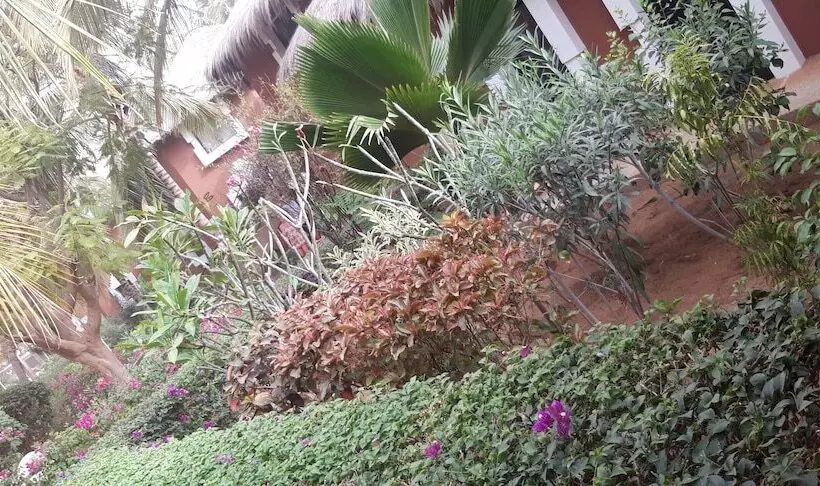 Fotos del hotel Neptune:  9