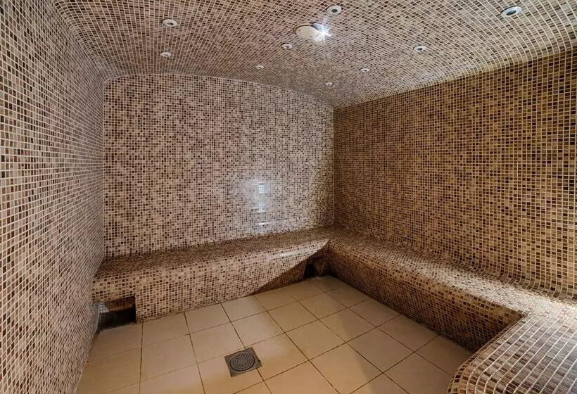 Fotos del hotel Nh Lyon Airport:  8