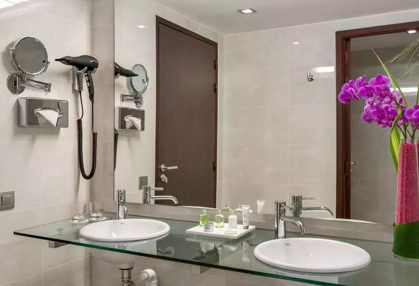 Fotos del hotel Nh Lyon Airport:  42