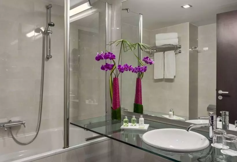 Fotos del hotel Nh Lyon Airport:  40