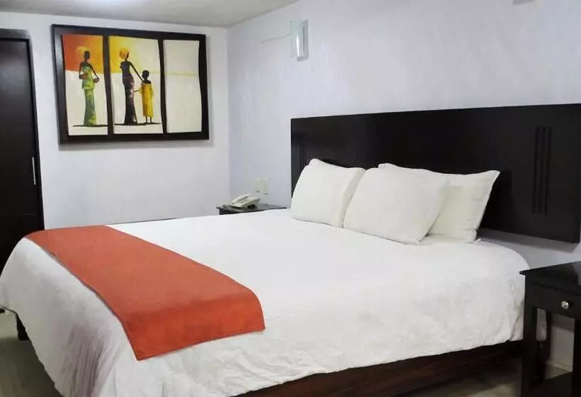 Fotos del hotel Barrio Antiguo:  14