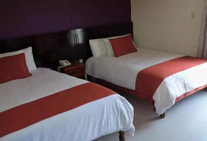 Fotos del hotel Barrio Antiguo:  21