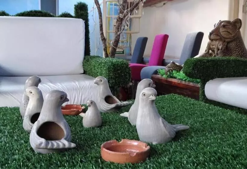 Fotos del hotel Barrio Antiguo:  6