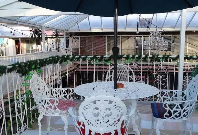 Fotos del hotel Barrio Antiguo:  3