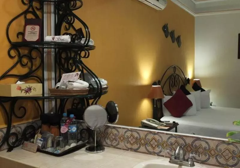 Fotos del hotel Boutique Parador San Miguel:  22