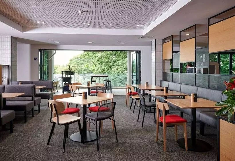 Fotos del hotel Ibis Hamilton Tainui:  3