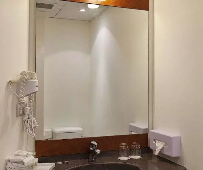 Fotos del hotel Ibis Hamilton Tainui:  7