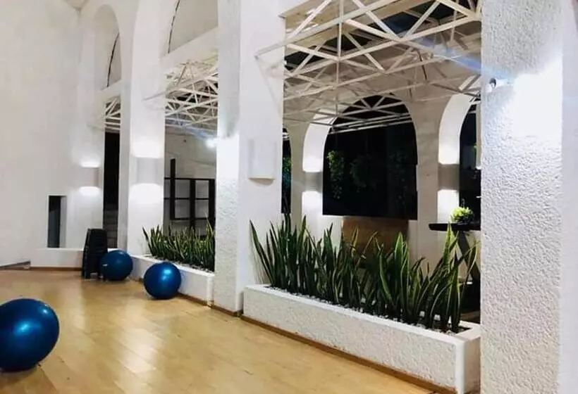 Fotos del hotel Ixtapa Palace:  3